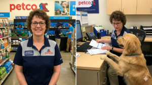 General manager petco